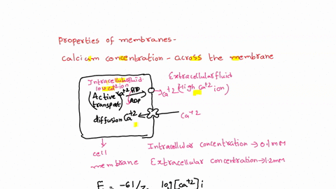 im-unsure-where-to-start-with-the-calculations-for-this-problem-you-are-interested-in-learning-about-some-of-the-properties-of-membranes-and-how-they-relate-to-muscles-ca2-concentrations-are-67641