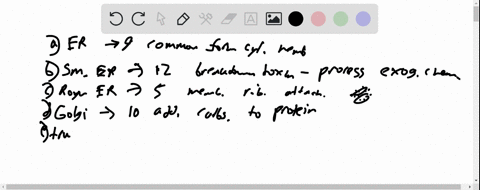 a-endoplasmic-reticulum-_______-b-smooth-endoplasmic-reticulum-________-c-rough-endoplasmic-reticu-9-57403