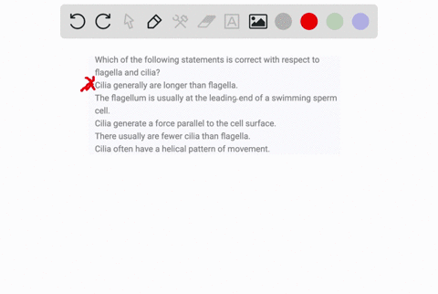 which-of-the-following-statements-is-correct-with-respect-to-flagella-and-cilia-which-of-the-following-statements-is-correct-with-respect-to-flagella-and-cilia-cilia-generally-are-longer-tha-73606