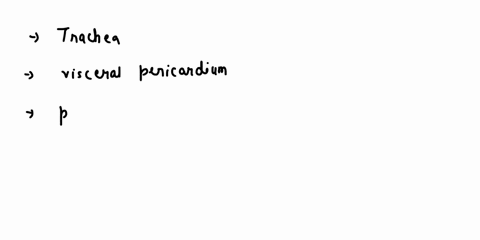 texts-answer-fast-please-label-the-pleural-membranes-and-other-structures-indicated-in-the-figure-trachea-visceral-pericardium-parietal-pleura-pericardial-cavity-pleural-cavity-visceral-pleu-18039