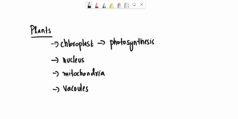 cellular-respiration-in-plants-takes-place-in-the________a-chloroplastb-endoplasmic-reticulum-c-golgi-bodiesd-mitochondria-86375