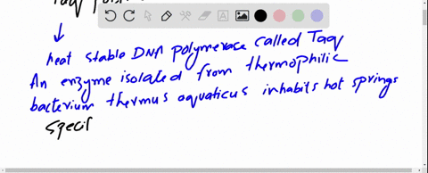 what-is-the-organism-from-which-taq-polymerase-was-derived-answer-why-is-this-specific-polymerase-used-in-pcr-and-not-dna-polymerase-from-hulmans-or-e-coli-or-any-other-species-for-that-matt-18685