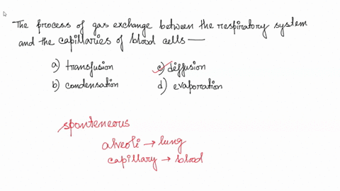 which-is-the-process-by-which-gas-exchange-between-the-respiratory-system-and-the-blood-cells-in-the-cappilaries-occurs-transfusion-condensation-evaporation-diffusion-93674