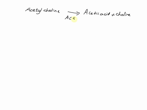during-which-phase-of-muscle-contraction-and-relaxation-is-acetylcholine-ach-broken-down-acetykholinesterase-achej-contraction-relaxation-excitation-contraction-coupling-excitation-66593