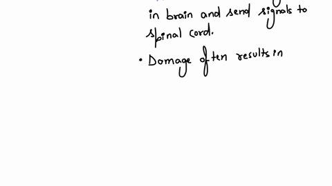 question-3-1-froint-match-the-type-of-motor-neuron-damage-with-the-appropriate-symptoms-a-patient-will-present-with-prompts-1-upper-motor-nevion-2-lower-motor-neuron-answers-mincte-weskinesk-strong-de