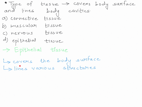 which-type-of-tissue-covers-body-surfaces-and-lines-body-cavities-vascular-tissue-connective-tissue-muscular-tissue-a-nervous-tissue-epithelial-tissue-04926