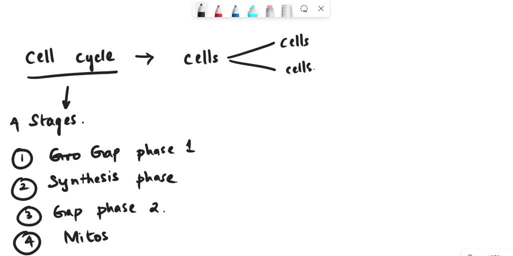 SOLVED: If a dog had 72 chromosomes, how many daughter cells will be