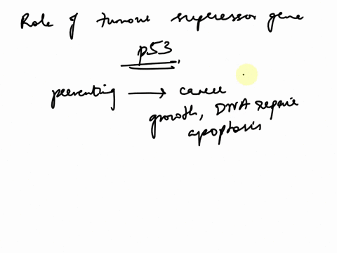 briefly-describe-the-role-of-tumour-suppressor-genes-in-cancer-formation-what-is-the-result-of-a-mutation-in-the-p53-gene-93434