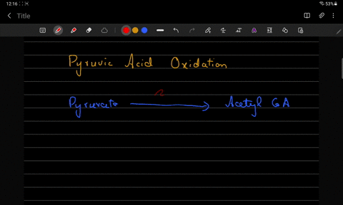 which-of-the-following-events-take-place-during-pyruvate-oxidation-processing-choose-all-the-options-that-apply-a-pyruvate-is-converted-into-glucose_-b-carbon-dioxide-coz-is-released-nadh-be-22026