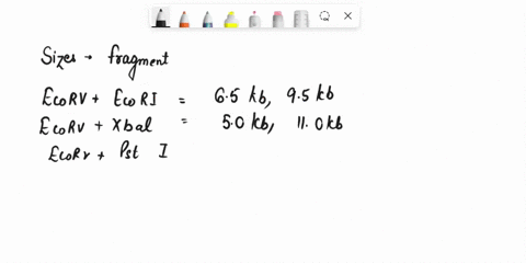 40-joe0s-f-prelab-9-enzyme-aetivity-10-points-17c-in-this-exereise-ii-vom-write-up-your-woou-aihl-oeate-hypothesis-design-e-an-experimeng-test-yout-hypothesis-and-single-prelab-specific-fnst-48578