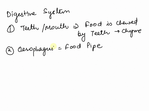 identify-the-parts-of-the-digestive-system-select-all-that-apply-stomach-esophagus-large-intestine-and-lungs-42012