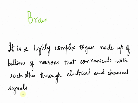 the-control-center-of-the-body-is-the-_____-spinal-cord-brain-heart-hypothalamus-93036