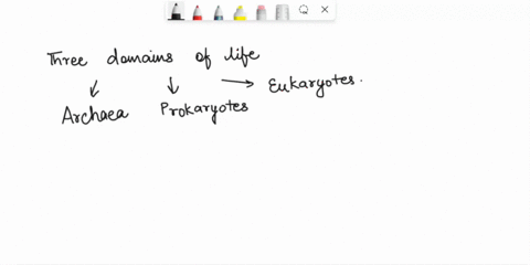 the-three-domains-of-life-are-select-all-that-apply-protista-bacteria-eukaryota-prokaryota-archaea-84186