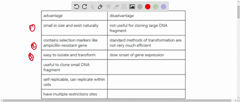 list-the-advantages-and-disadvantages-of-using-plasmids-as-cloning-vectors-what-advantages-do-bacs-4-44873