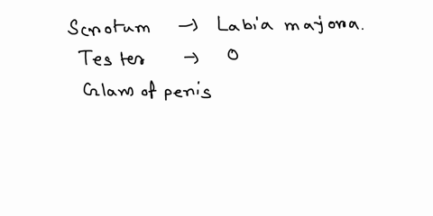 matching-homologous-sex-organs-match-each-male-reproductive-anatomical-structure-with-its-homologous-female-reproductive-anatomical-structure-scrotum-testes-glans-of-penis-match-each-of-the-89091
