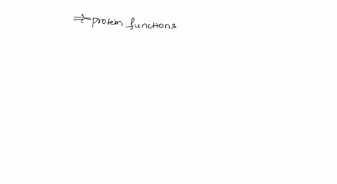 which-of-the-following-is-not-a-function-of-protein-group-of-answer-choices-making-antibodies-making-enzymes-transporting-lipids-storing-glycogen-in-the-liver-and-muscle-tissue-for-energy-26763