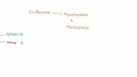 unlike-eutherians-both-monotremes-and-marsupialsa-lack-nipplesb-have-some-embryonic-development-outside-the-uterusc-lay-eggsd-are-found-in-australia-and-africa-67838