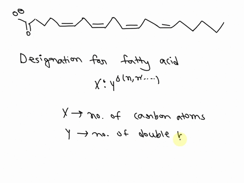 consider-the-fatty-acid-which-of-the-designations-are-accurate-for-the-fatty-acid-2044581114-6-fatty-acid-0-3-fatty-acid-20404691215-471013-nonadecatetraenoic-acid-15044