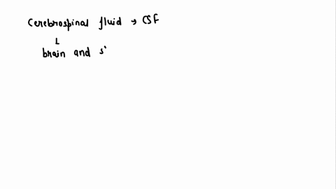 which-of-the-following-is-not-a-place-where-cerebrospinal-fluid-csf-is-found-group-of-answer-choices-ventricles-inside-the-cerebellum-around-the-brain-and-spinal-cord-ventricles-inside-the-c-19304