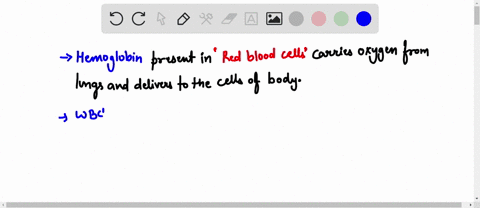 which-component-of-blood-allows-oxygen-from-the-air-to-move-from-the-lungs-to-cells-of-the-body-white-blood-cells-platelets-plasma-red-blood-cells-30754