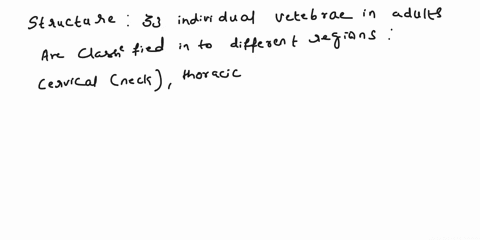 describe-the-properties-of-the-vertebral-column-why-are-these-important-37903