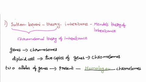 mendel-principles-and-the-chromosome-theory-of-inheritance-aa-mendels-principles-of-inheritance-can-be-explained-by-the-sutton-boveri-chromosome-theory-of-inheritance-because-genes-are-locat-59195