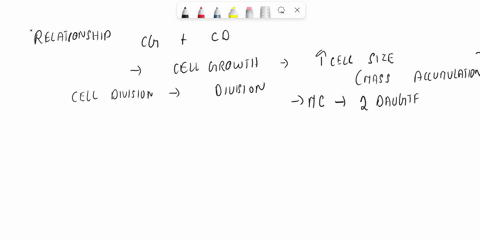 formulate-the-relationship-between-cell-division-and-development-56968