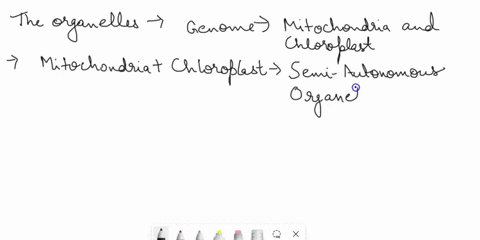 question-wnich-of-the-following-organellels-hashhave-genome-separate-from-the-genome-in-the-cell-nucleus-nucleolus-both-the-mitochondria-and-the-nucleolus-mitochondria-chloroplasts-both-the-49187