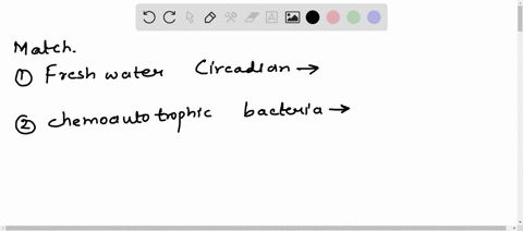 match-each-type-of-organism-to-a-characteristic-that-describes-it-heterotrophic-anerobic-archaea-55745