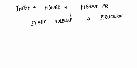 which-best-describes-the-molecule-in-the-diagram-below-a-globular-protein-b-fibrous-protein-c-membrane-protein-d-dna-protein-45332