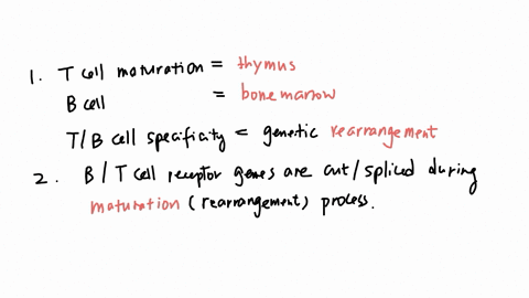 drag-ihe-labels-to-complete-each-of-ihe-sentences-thaf-g-scuss-the-similarities-and-differences-between-ceil-and-receptors-cane-tcell-maturation-and-develapment-0-ite-r-anfigen-snacitot-roce-08703