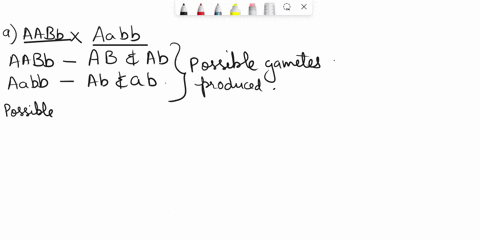 given-the-following-matings-what-are-the-predicted-phenotypic-ratios-of-the-offspring-a-purpleazwhitebzwings-bzno-wings-a-aabb-x-aabb-b-aabb-x-aabb-u-8-xz-x-x-53042