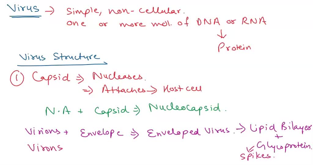 Solved Please Type The Answer Describe The Differences In Structure Of A Virion Include In