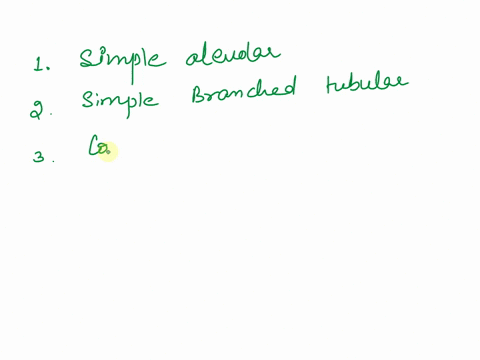 exercise-3-exocrine-gland-classifcation-classify-the-type-of-exocrine-gland-by-matching-the-figure-to-the-description-asimple-tubular-bsimple-coed-tubular-csimple-branched-tubular-dsimple-cl-50095