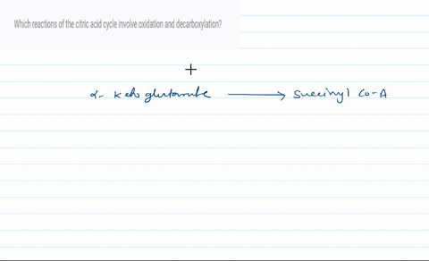 which-reactions-of-the-citric-acid-cycle-involve-oxidation-and-decarboxylation-2-93497