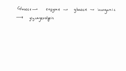 metabolic-mutants-what-would-be-the-effect-on-an-organisms-ability-to-use-glucose-as-an-energy-sourc-26242