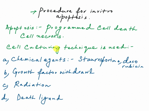 opening-prompt-as-part-of-a-study-into-the-effects-of-paclitaxel-on-mda-mb-231-cells-you-are-asked-to-set-up-a-small-experiment-where-cells-are-treated-with-the-drug-prior-to-their-isolation-48577