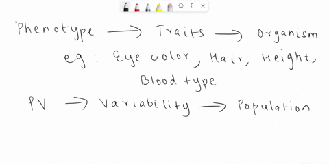 question-3-the-following-equation-describes-the-variation-in-phenotype-a-qt-vp-vg-ve-where-g-genetics-and-e-environment-true-false-18373