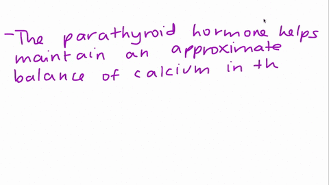 explain-the-function-of-calcitonin-parathyroid-hormone-and-vitamin-d-in-bone-homeostasis-81498