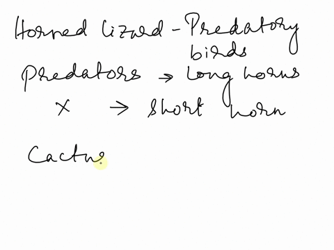 q610horned-lizards-use-their-horns-to-defend-against-predatory-birdsa-researcher-observed-that-lizards-living-in-areas-with-predatory-birds-have-longer-horns-than-those-in-areas-with-no-pred-13652