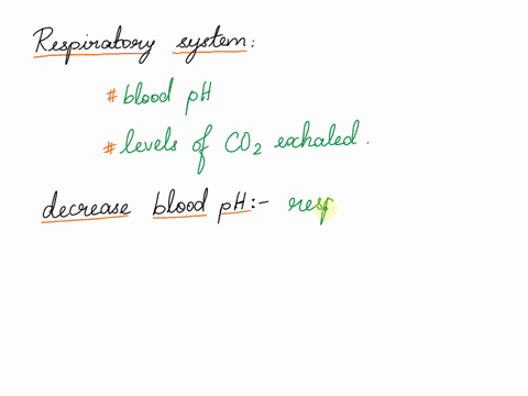 explain-the-way-in-which-the-respiratory-system-affects-blood-ph-35877