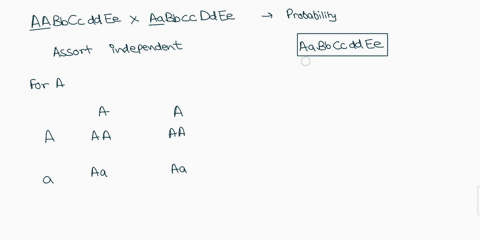 if-you-have-two-organisms-one-with-the-genotype-aabbccddee-and-the-other-with-the-genotype-aabbccddee-assuming-all-of-the-loci-assort-independently-what-is-the-probability-of-having-an-offsp-15818