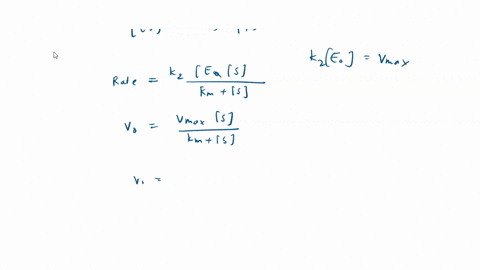 at-which-concentration-of-substrate-is-the-initial-speed-vo-of-an-enzyme-reaction-equal-to-b-23-v-max-i-vmax-34-vmax-45-vmax-910-vmax-16-vmax-insert-your-substrate-concentration-as-multiples-65189