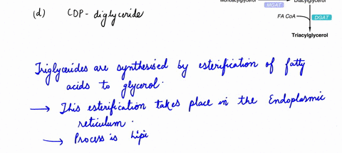q1-all-of-the-following-molecules-are-either-substrates-cofactors-or-intermediates-in-the-synthesis-of-triglyceride-except-which-one-a-glycerol-3-phosphate-b-fatty-acyl-coa-c-phosphatidic-ac-96805