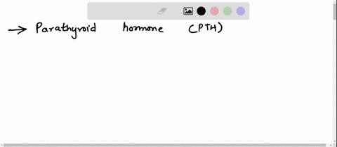 14-parathyroid-hormone-pth-d-inhibits-reabsorption-of-both-calcium-and-phosphate-a-primary-active-transport-by-means-of-a-protein-pump-bosmosis-through-aquaporins-dbulk-transport-by-means-of-87655