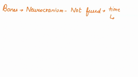 explain-why-the-bones-of-the-neurocranium-are-not-fused-at-the-time-of-birth-21924