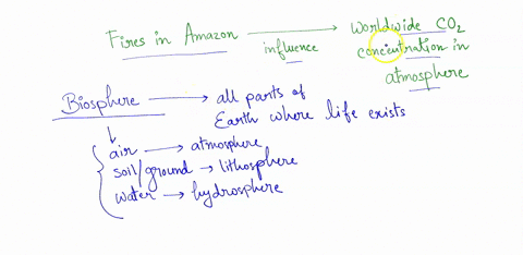 i-need-heelp-in-solving-the-multiple-choice-questions-asap-please-thank-you-1-an-ecologist-interested-in-how-fires-in-the-amazon-are-influencing-world-wide-concentration-of-carbon-dioxide-in-78393