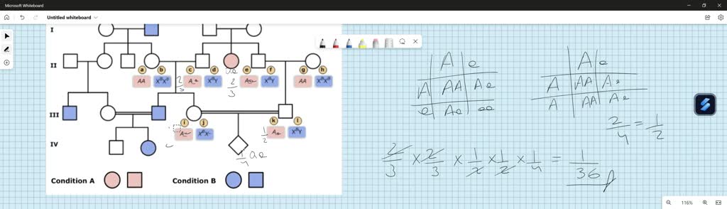 SOLVED: The pedigree from Part B is shown below. Female III-4 is ...