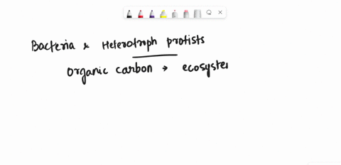 true-or-false-bacteria-and-heterotrophic-protists-both-obtain-their-nutrients-by-absorbing-dissolved-organic-matter-from-their-environmental-surroundings-87015