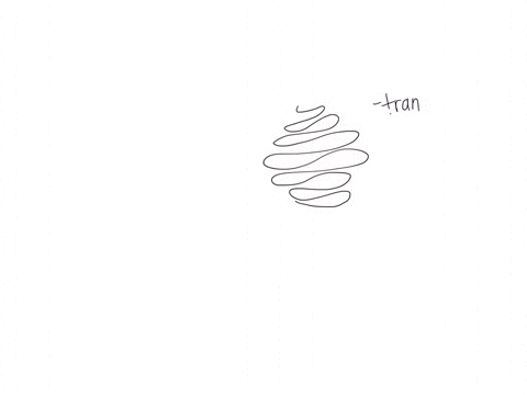 which-of-the-following-is-a-function-of-the-golgi-apparatus-a-synthesizing-proteins-b-modifying-and-packaging-proteins-for-transport-c-producing-atp-d-storing-genetic-information